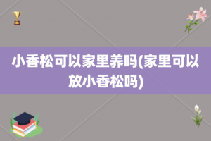 小香松可以家里养吗(家里可以放小香松吗)