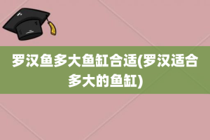 罗汉鱼多大鱼缸合适(罗汉适合多大的鱼缸)