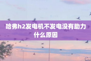 哈弗h2发电机不发电没有助力什么原因