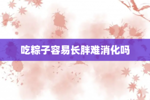吃粽子容易长胖难消化吗