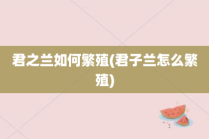 君之兰如何繁殖(君子兰怎么繁殖)