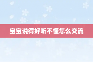 宝宝说得好听不懂怎么交流