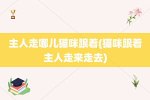 主人走哪儿猫咪跟着(猫咪跟着主人走来走去)