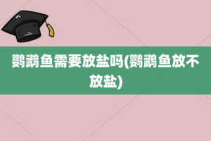 鹦鹉鱼需要放盐吗(鹦鹉鱼放不放盐)