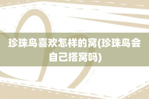 珍珠鸟喜欢怎样的窝(珍珠鸟会自己搭窝吗)