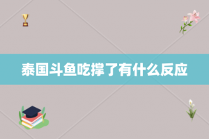 泰国斗鱼吃撑了有什么反应