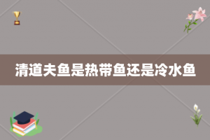 清道夫鱼是热带鱼还是冷水鱼