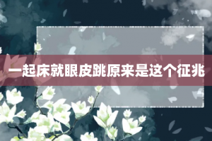 一起床就眼皮跳原来是这个征兆