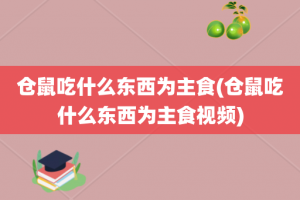 仓鼠吃什么东西为主食(仓鼠吃什么东西为主食视频)