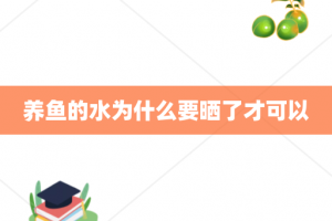 养鱼的水为什么要晒了才可以