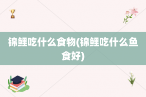 锦鲤吃什么食物(锦鲤吃什么鱼食好)