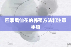 四季凤仙花的养殖方法和注意事项