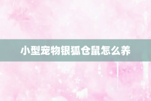 小型宠物银狐仓鼠怎么养