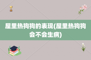 屋里热狗狗的表现(屋里热狗狗会不会生病)