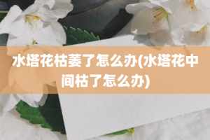 水塔花枯萎了怎么办(水塔花中间枯了怎么办)