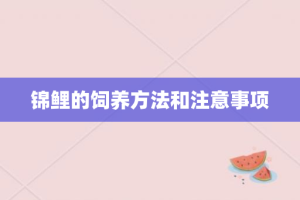 锦鲤的饲养方法和注意事项