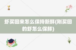 虾买回来怎么保持新鲜(刚买回的虾怎么保鲜)