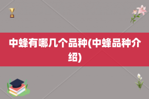 中蜂有哪几个品种(中蜂品种介绍)