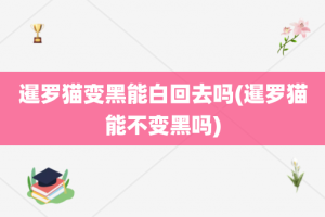 暹罗猫变黑能白回去吗(暹罗猫能不变黑吗)