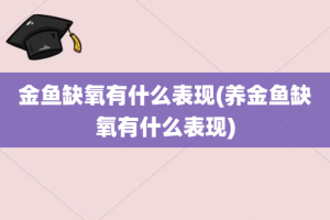 金鱼缺氧有什么表现(养金鱼缺氧有什么表现)