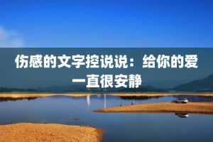 伤感的文字控说说：给你的爱一直很安静