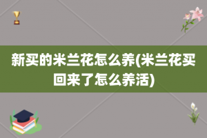 新买的米兰花怎么养(米兰花买回来了怎么养活)