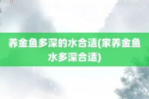 养金鱼多深的水合适(家养金鱼水多深合适)