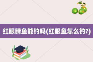 红眼睛鱼能钓吗(红眼鱼怎么钓?)
