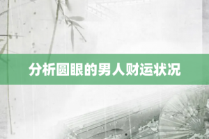 分析圆眼的男人财运状况