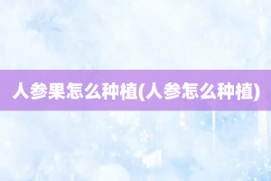 人参果怎么种植(人参怎么种植)