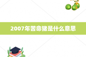 2007年苦命猪是什么意思