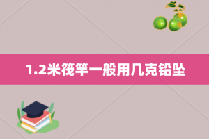 1.2米筏竿一般用几克铅坠