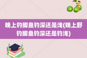 晚上钓鲫鱼钓深还是浅(晚上野钓鲫鱼钓深还是钓浅)