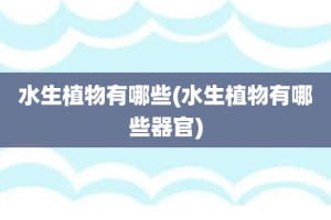 水生植物有哪些(水生植物有哪些器官)