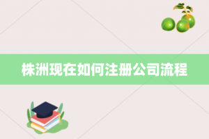 株洲现在如何注册公司流程