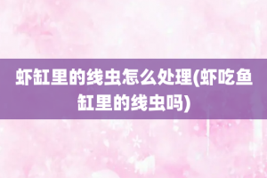 虾缸里的线虫怎么处理(虾吃鱼缸里的线虫吗)