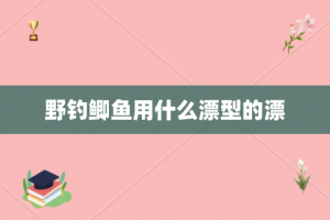 野钓鲫鱼用什么漂型的漂
