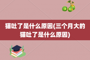 猫吐了是什么原因(三个月大的猫吐了是什么原因)