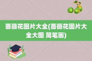 蔷薇花图片大全(蔷薇花图片大全大图 简笔画)