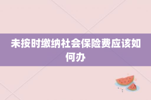 未按时缴纳社会保险费应该如何办