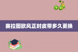 赛拉图欧风正时皮带多久更换