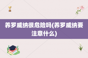 养罗威纳很危险吗(养罗威纳要注意什么)