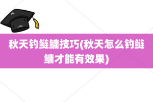 秋天钓鲢鳙技巧(秋天怎么钓鲢鳙才能有效果)