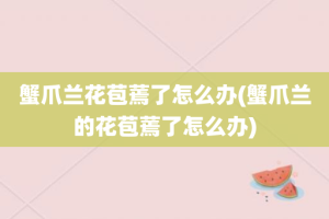 蟹爪兰花苞蔫了怎么办(蟹爪兰的花苞蔫了怎么办)