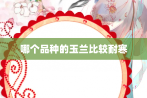 哪个品种的玉兰比较耐寒