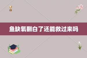 鱼缺氧翻白了还能救过来吗