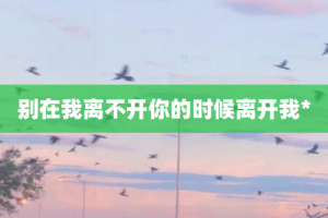别在我离不开你的时候离开我*