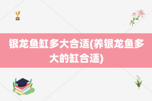 银龙鱼缸多大合适(养银龙鱼多大的缸合适)