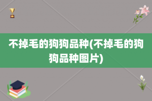 不掉毛的狗狗品种(不掉毛的狗狗品种图片)
