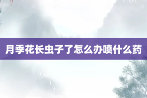 月季花长虫子了怎么办喷什么药